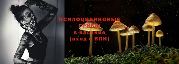 мяу мяу мука Алзамай