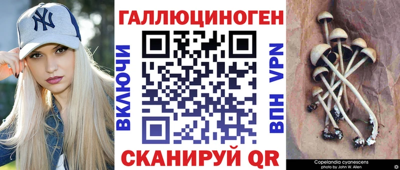 Псилоцибиновые грибы мицелий МЕГА онион Борзя
